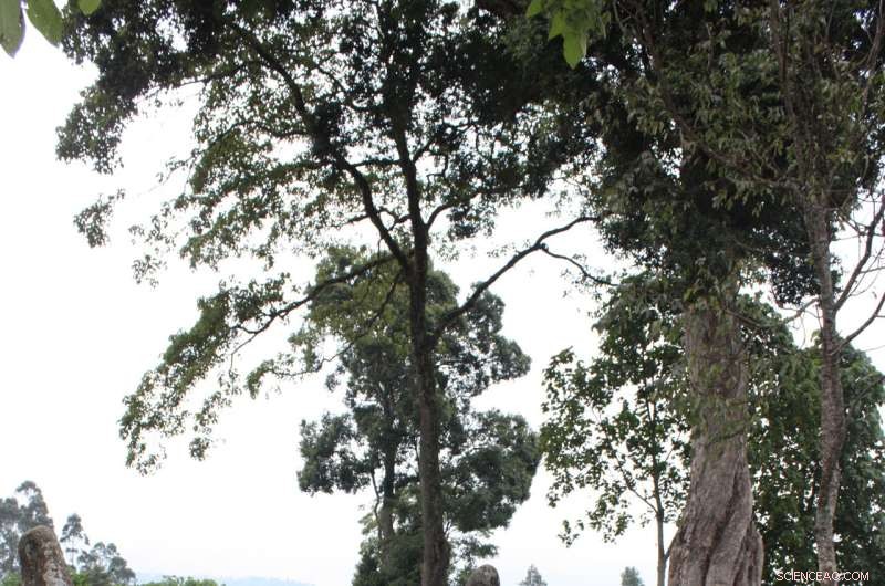 Ancient Ethiopian Monuments Push Back History by 1,000 Years