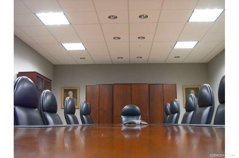 External CEO Appointments: Understanding the Challenges and Performance