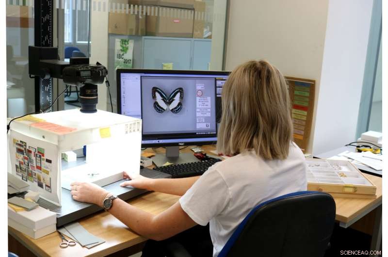 Digitizing Natural History Museum s Collection: A £2 Billion Economic Opportunity