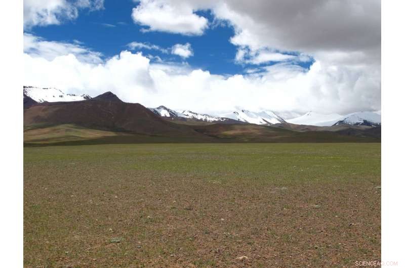 Denisovans vs. Homo Sapiens: First Settlers of the Tibetan Plateau?