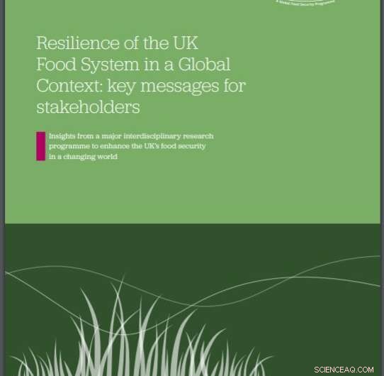 Securing the Future of UK Food: Key Findings from Resilience Research