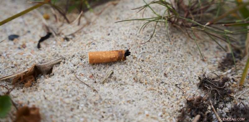 Holding Tobacco Companies Accountable: Reducing Cigarette Litter in Australia