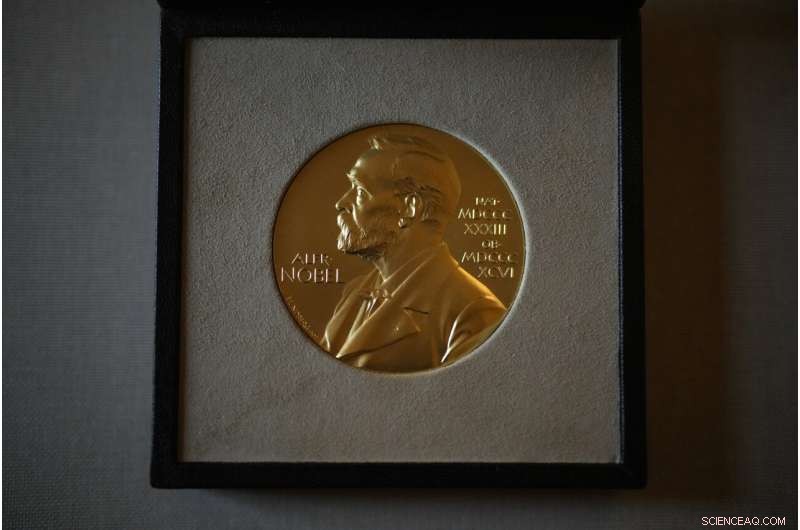 Nobel Prizes 2021: Award Ceremonies Held Amid Pandemic Restrictions