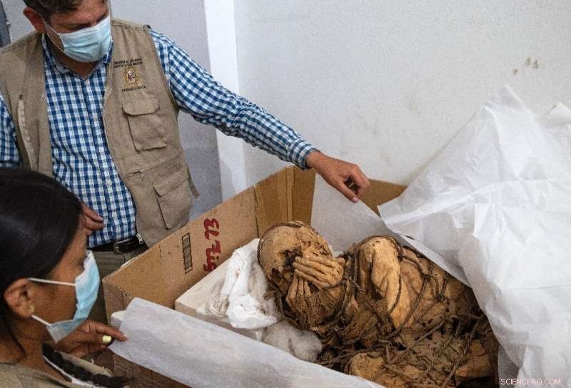 Ancient Peruvian Mummy Discovery: 1,200-Year-Old Find Reveals Intriguing Ritual
