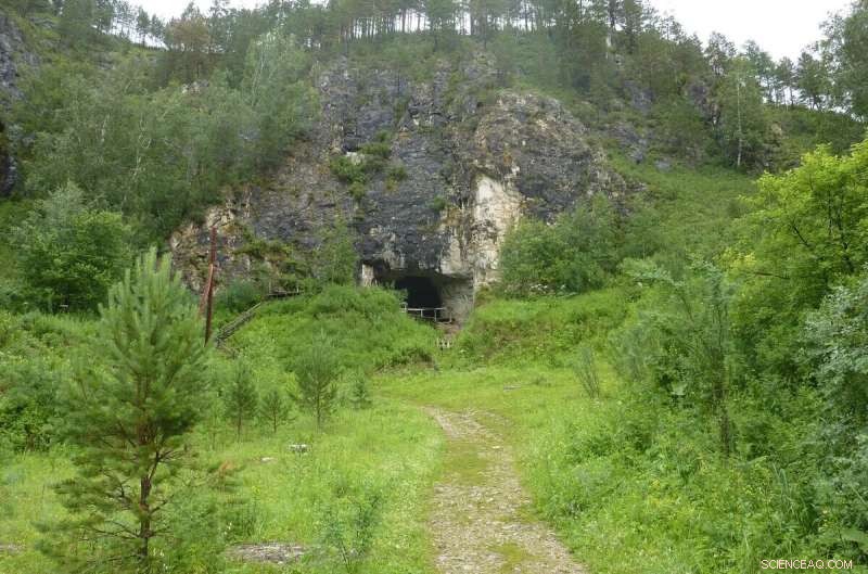 New Denisovan Fossils Discovered at Denisova Cave – Oldest Yet!