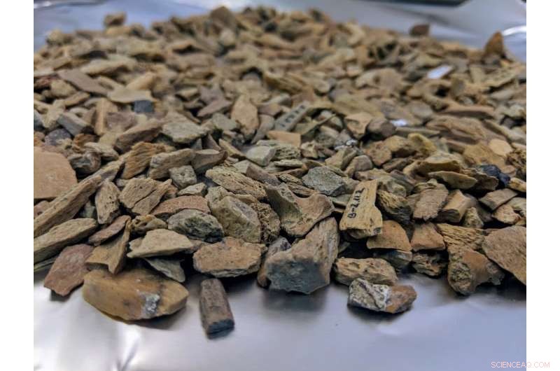 New Denisovan Fossils Discovered at Denisova Cave – Oldest Yet!