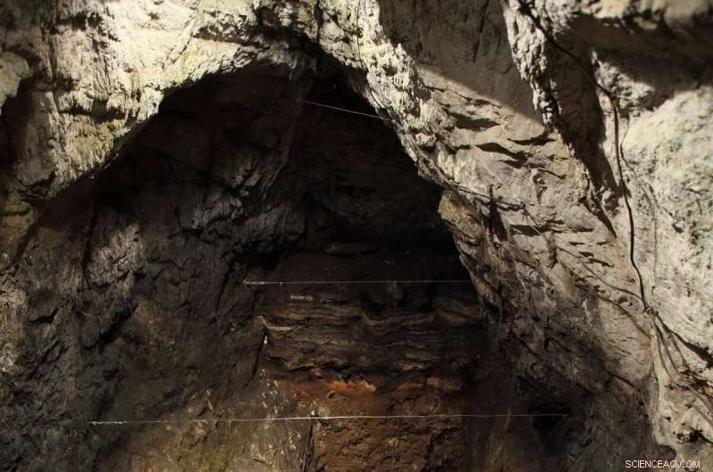 New Denisovan Fossils Discovered at Denisova Cave – Oldest Yet!