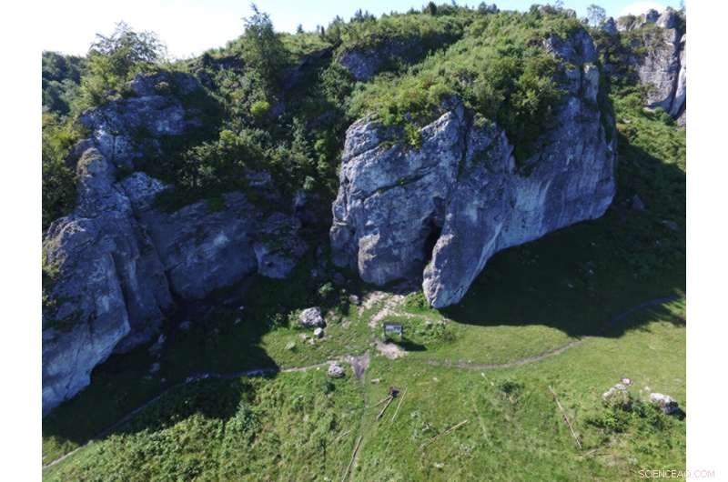 Ancient Ivory Pendant Reveals Earliest Eurasian Jewelry Decoration