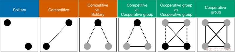 Cultural Cooperation: How Games Reflect Societal Tendencies