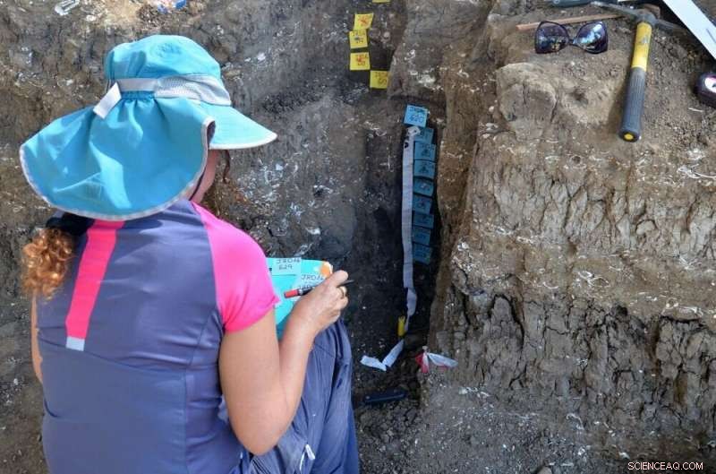 Climate Change and the Dawn of Agriculture: How Nomadic Societies Settled Down