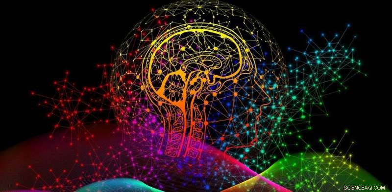 The Mathematical Universe: Exploring the Ancient View of Reality