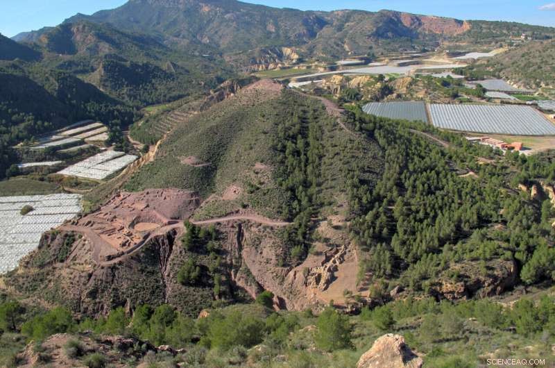 Bronze Age Genetic History of Southern Iberia: Insights from La Bastida