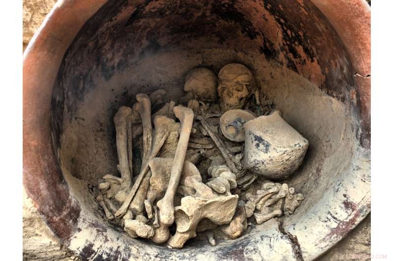 Bronze Age Genetic History of Southern Iberia: Insights from La Bastida