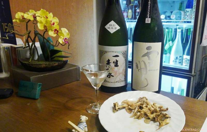 Ancient Sake Brewing Secrets Revealed: First English Translation of World s Oldest Guide