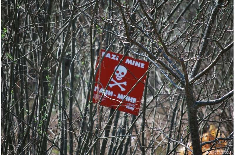 Landmine Crisis: Rising Casualties and Decades of Clearance Ahead