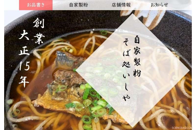 Japanese Restaurant Preferences: Impact of Establishment Year