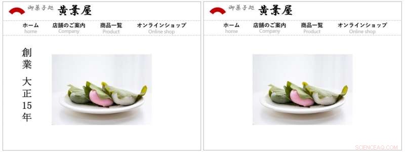 Japanese Restaurant Preferences: Impact of Establishment Year