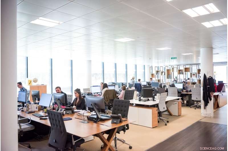 Lack of Ethical Leadership in New Zealand Workplaces: A Key Finding