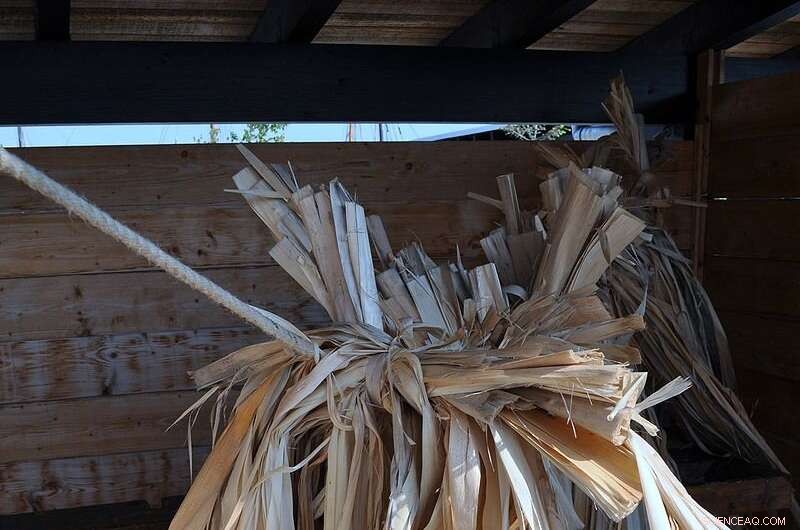 Stone Age Textile Discovery Rewrites History of Clothing Production