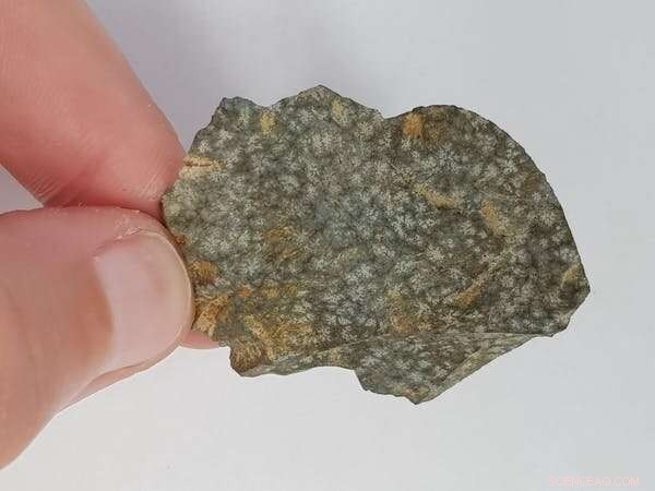 Parramatta s Ancient History: Unearthing Sydney s Deep Past