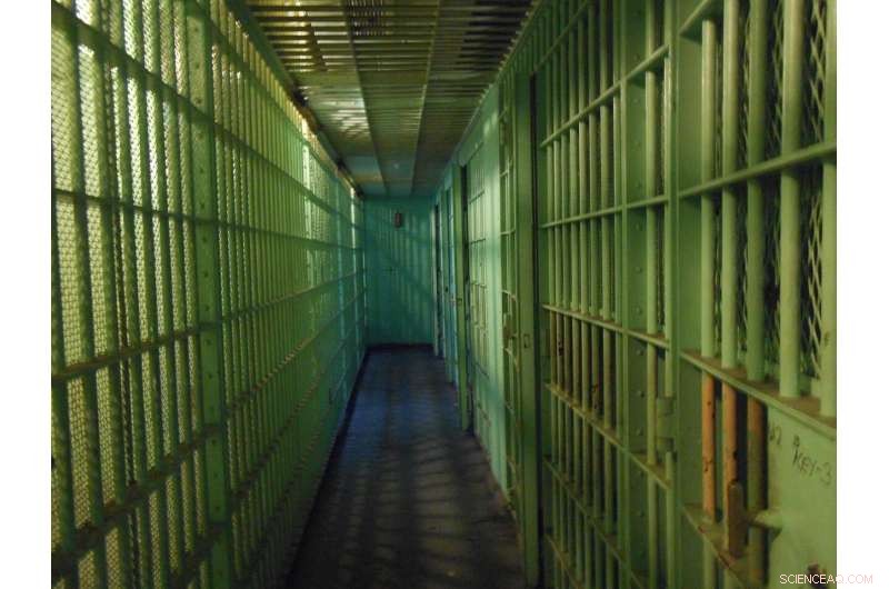 The Employment Challenges Faced by Formerly Incarcerated Individuals