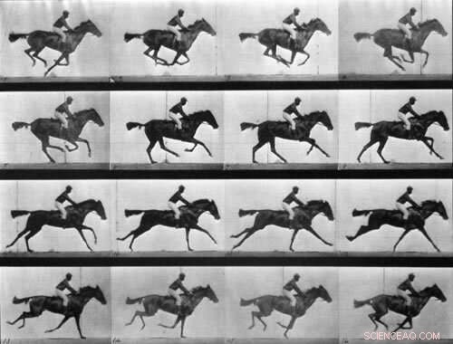 Unlocking Medical History: Rare Photos Reveal Insights into 19th-Century Neurological Studies