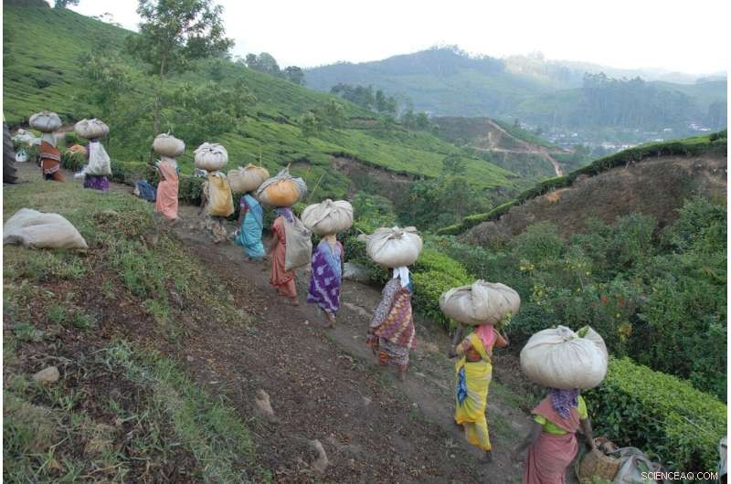 World Bank & IMF s Informal Sector Policies: Flawed Logic & Consequences