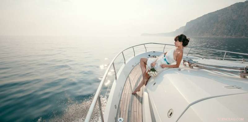 Australia s Top 1% Income Share: Trends and Implications