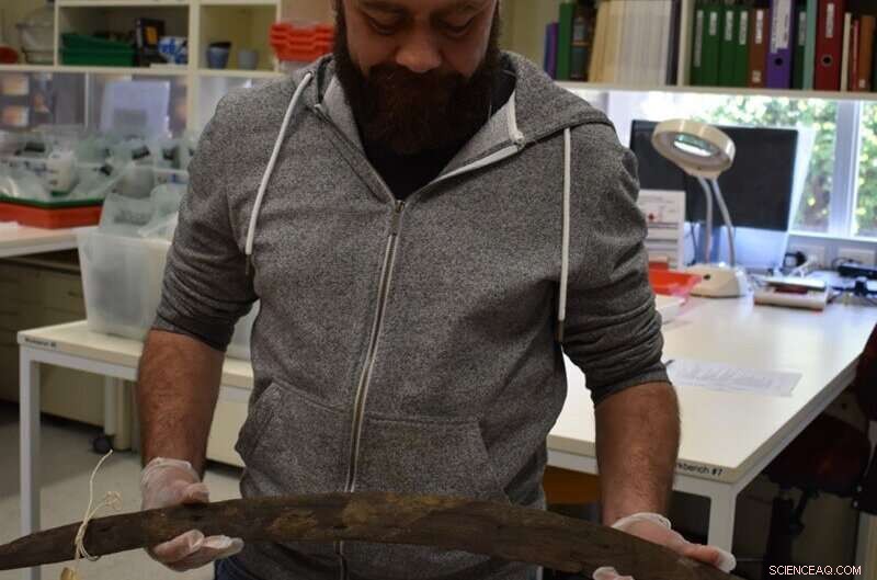 Ancient Boomerang Collection Uncovers History of South Australia