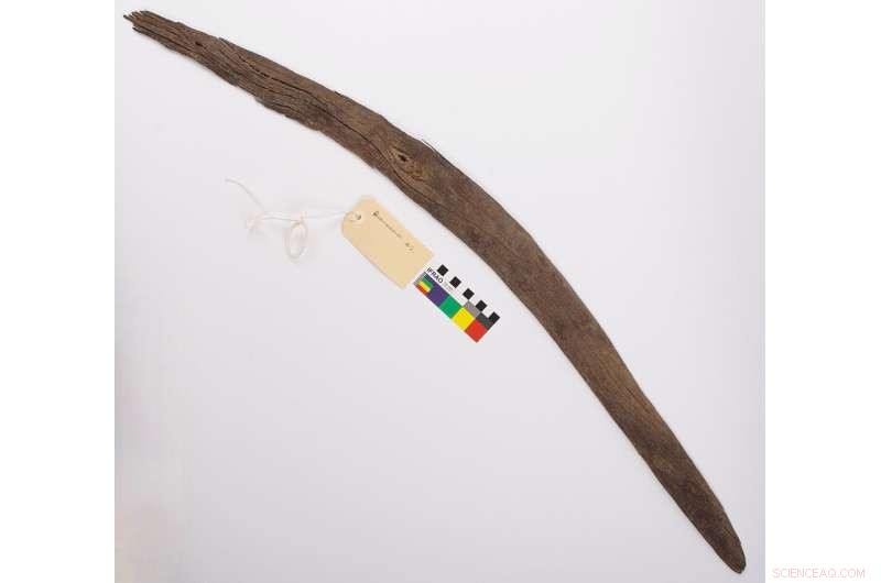 Ancient Boomerang Collection Uncovers History of South Australia