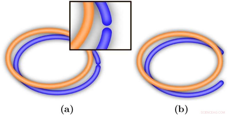 Understanding Word Meaning: How Language Works