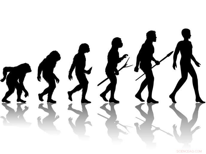 Early Humans in Iberia: Surviving Extreme Cold & Settling the Interior