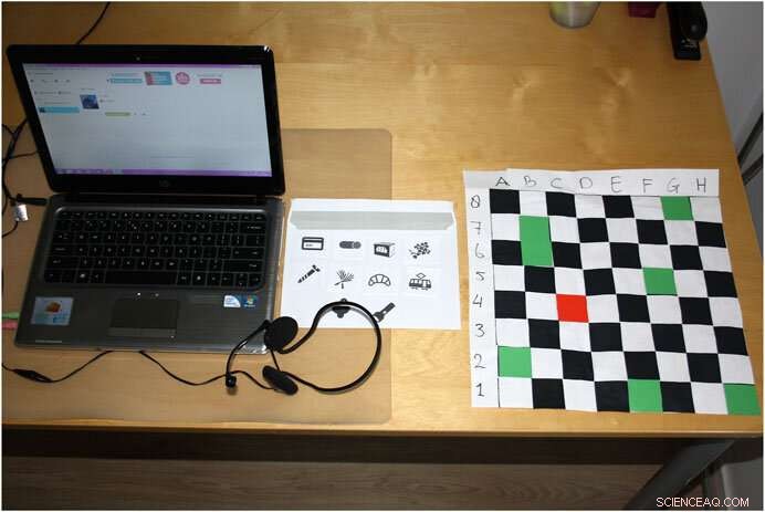 Understanding Language Adaptation in Flanders: Dutch Dialect and Social Dynamics