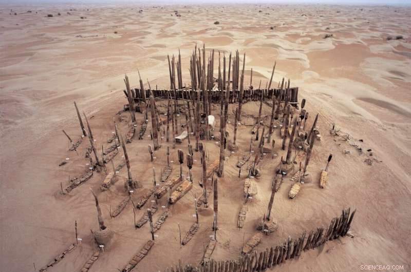 Tarim Basin Mummies: Uncovering Ancient History on the Silk Road