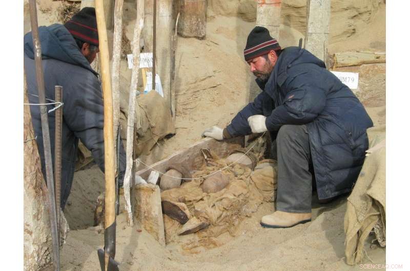 Tarim Basin Mummies: Uncovering Ancient History on the Silk Road