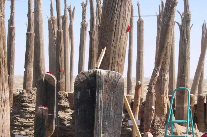 Tarim Basin Mummies: Uncovering Ancient History on the Silk Road