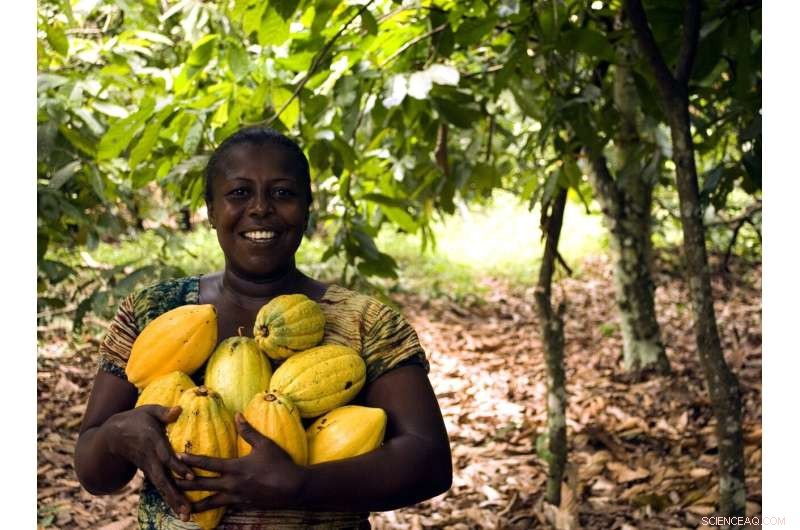 Cocoa Farming & Child Labor: Understanding the West Africa Crisis