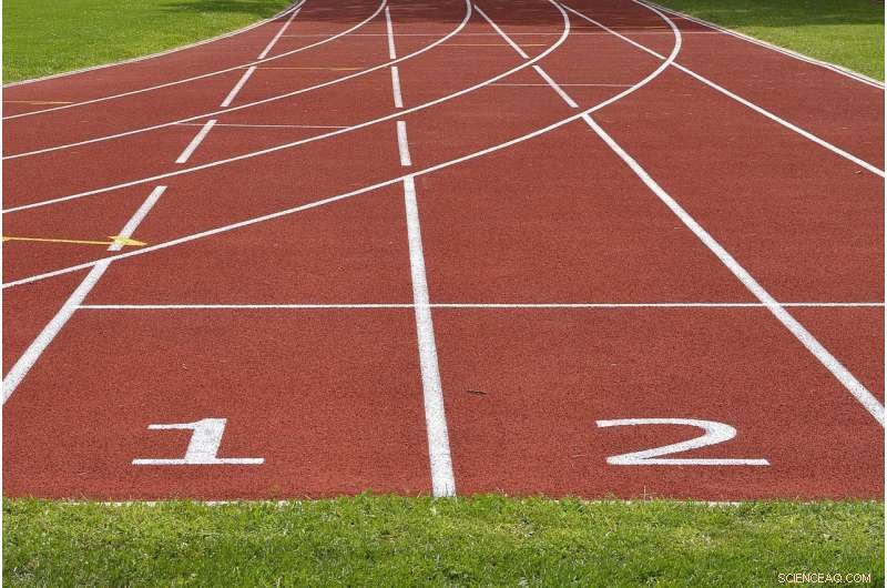 Ontario University Sports: Study Finds Awareness Gaps Regarding Racism