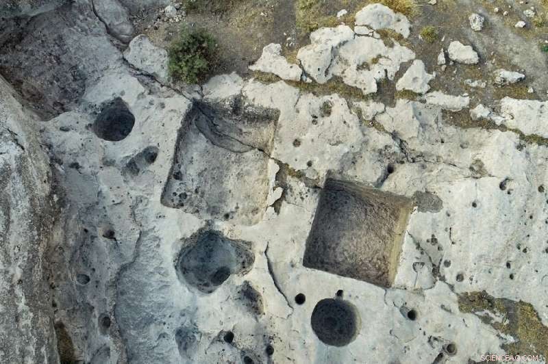 Ancient Assyrian Wine Press & Royal Carvings Unearthed in Iraq
