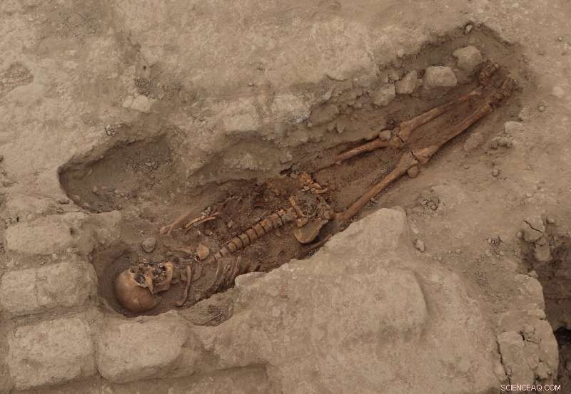 Ancient Peruvian Tombs Uncover New Insights into Wari Culture