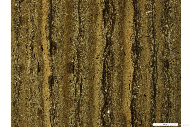 Ancient Road Discovery: Lake Sediments Reveal Historical Insights