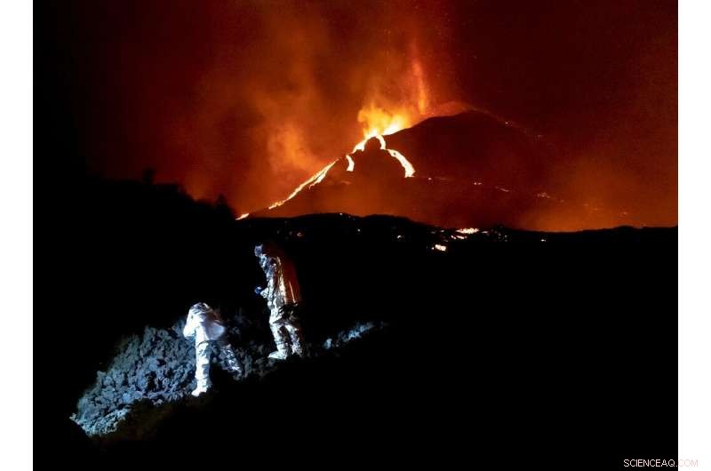 La Palma Volcano: Mystery Surrounds Disappearance of Trapped Dogs