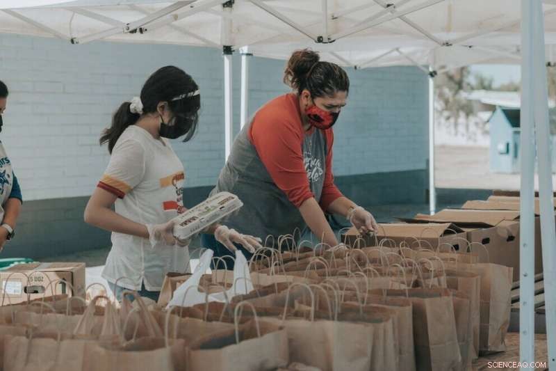 Food Pantries: A Lifeline for Food Security in 2020
