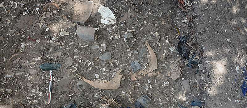 Unearthing Ancestral Diets: Archaeological Research Reveals Ancient Food Practices