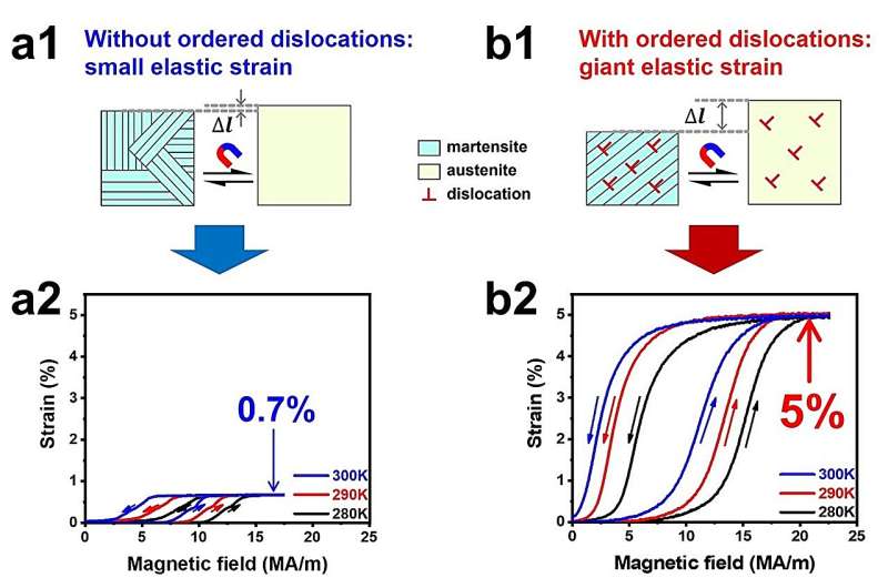 Giant Magneto-Superelasticity Achieved in Novel Metal Crystal