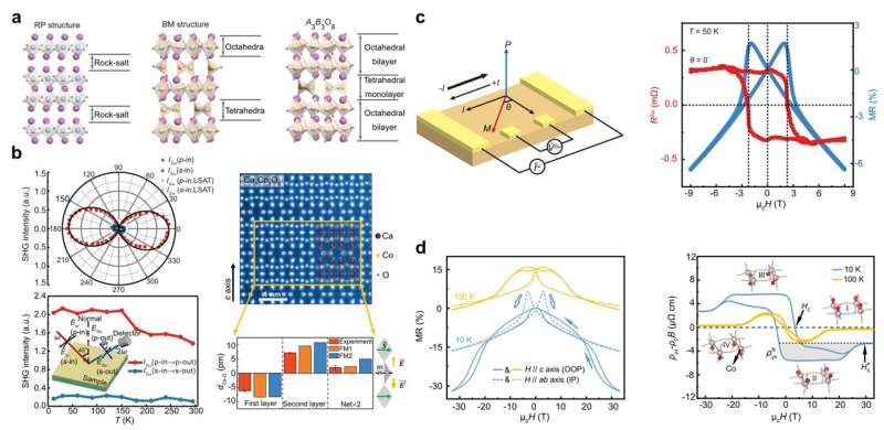 Novel Ferromagnetic Polar Metal Material Discovered by Researchers