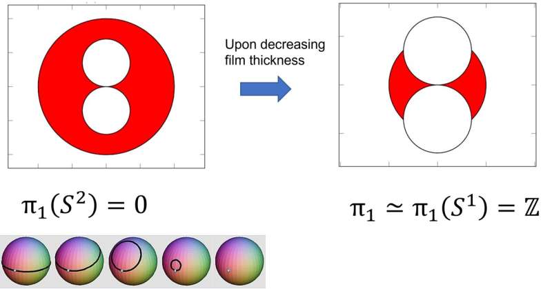 Superconducting Transistors: Exploring the Microscopic Mechanism