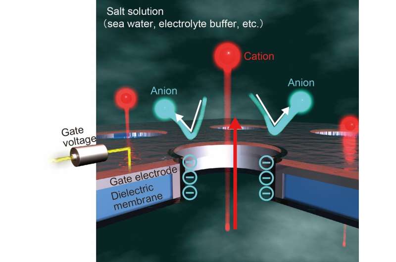 Nanopore Membranes: Enabling Blue Energy Breakthroughs Through Ion Transport Control