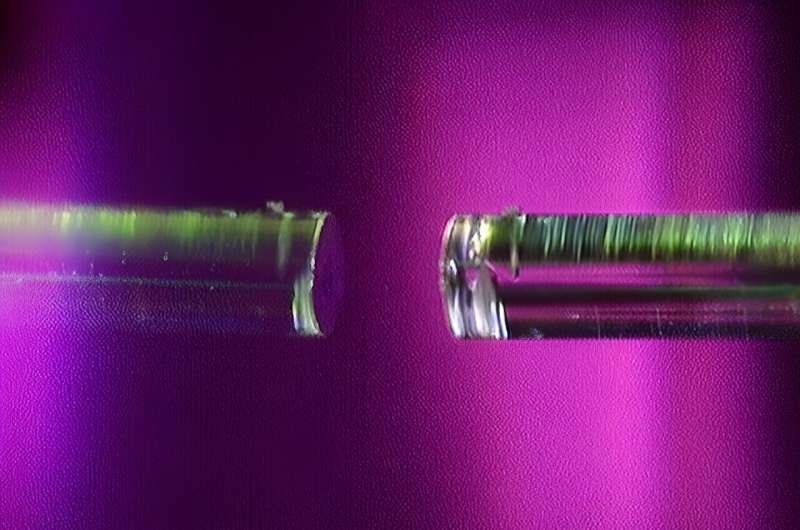 Breakthrough in Single Molecule Observation: New Highly Sensitive Method Developed