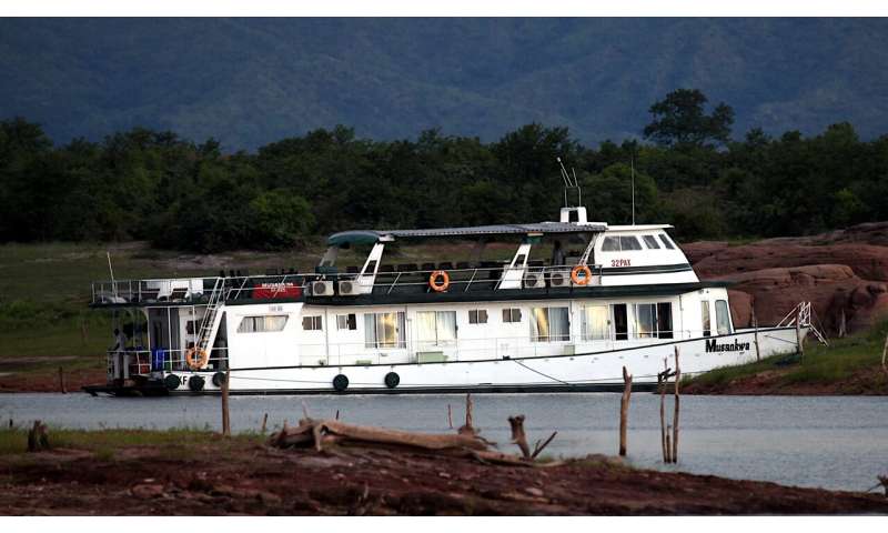 New Dinosaur Species Discovered in Zimbabwe: *Musankwa sanyatiensis*